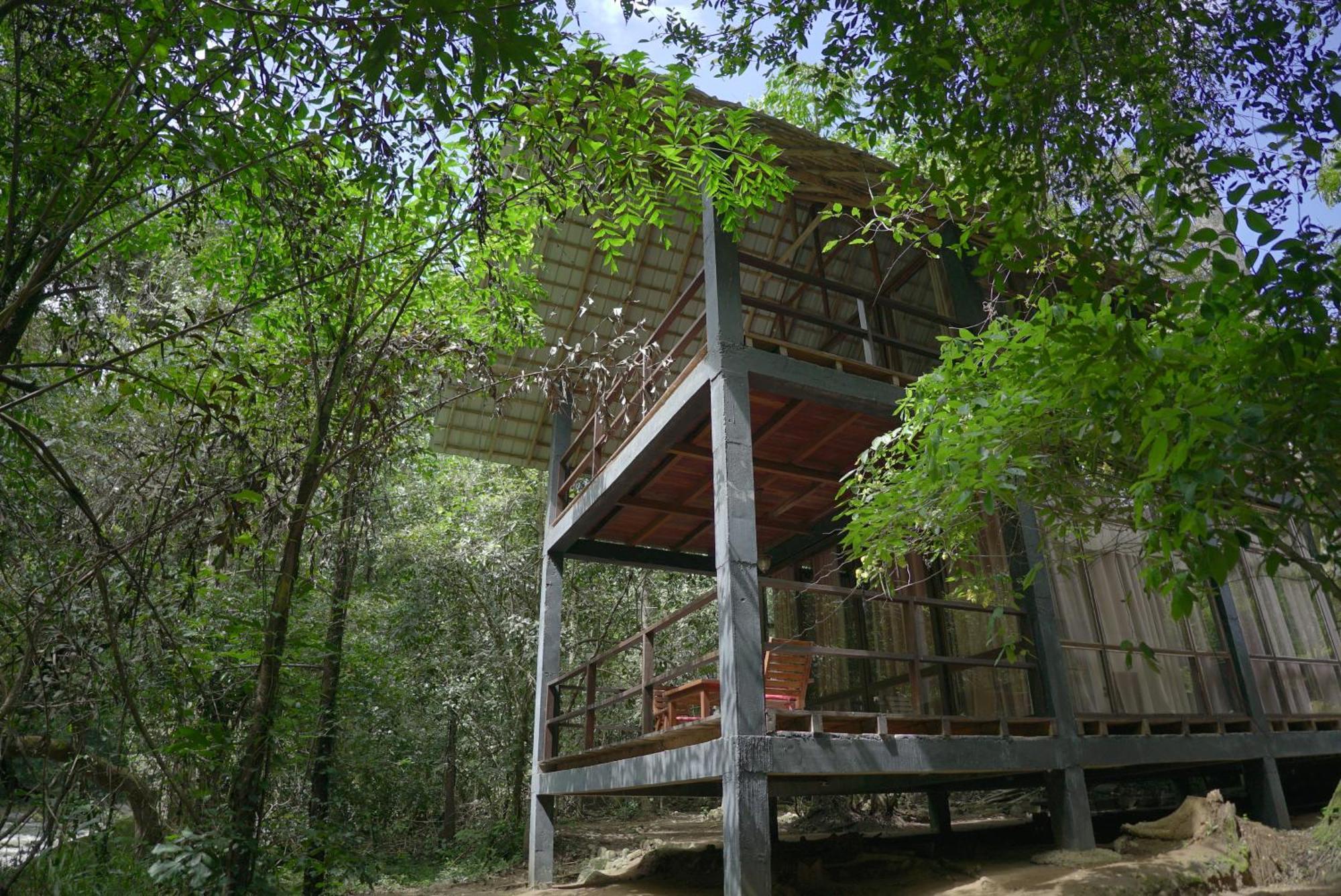 Ella Jungle Resort Exterior foto